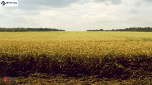Foto Terreno agricolo in VIA SAN CARLO, Desio di 4000 m² in vendita