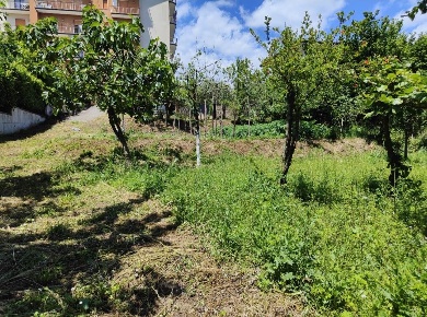 Foto Terreno edificabile a Aiello del Sabato di 1100 m² in vendita