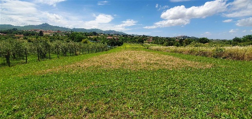 Foto Terreno agricolo in VIA DEL CARZOLESE, San Cesareo di 2500 m²