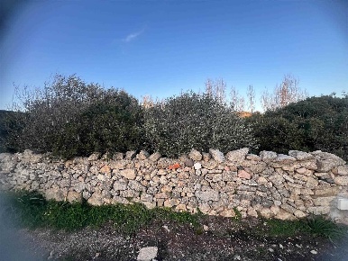Foto Terreno agricolo in Fuori dal centro abitato, La Maddalena in vendita