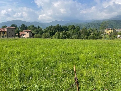 Foto Terreno edificabile in via selvaggio, Coazze di 1630 m² in vendita