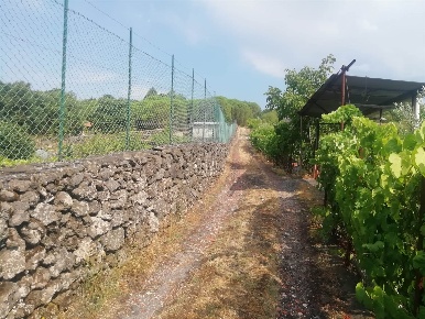 Foto Terreno agricolo a Nicolosi di 9000 m² in vendita