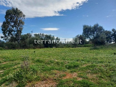 Foto Terreno agricolo a Olbia in vendita