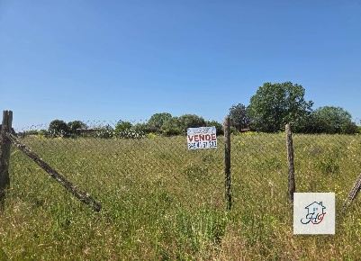 Foto Terreno agricolo in VIA DELLO SCOPONE, Nettuno di 4100 m² in vendita