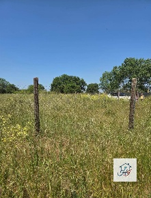 Foto Terreno agricolo in VIA DELLO SCOPONE, Nettuno di 4100 m² in vendita