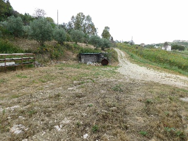 Foto Terreno agricolo in CONTRADA FAZZOTTO, San Cataldo di 22260 m²