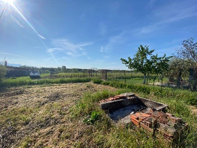 Foto Terreno agricolo a Castelnuovo Magra Colombiera Molicciara di 3370 m²