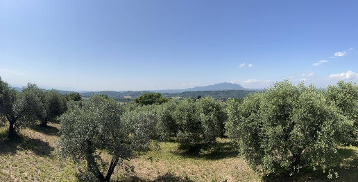 Foto Terreno edificabile a Collevecchio Centro di 10000 m² in vendita