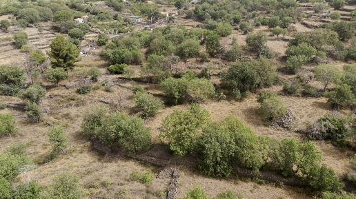 Foto Terreno agricolo in VIA ERNESTO CHE GUEVARA, Belpasso di 5700 m²