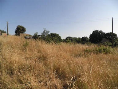Foto Terreno edificabile a Cecina Cecina Centro di 220 m² in vendita