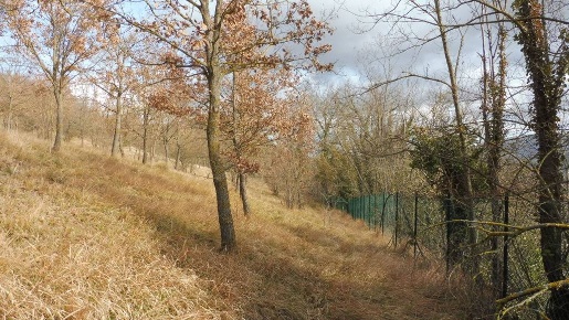 Foto Terreno agricolo a Camerino Centro in vendita