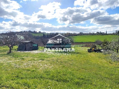 Foto Terreno agricolo a Coriano di 4500 m² in vendita