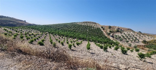 Foto Terreno agricolo in contrada Grottadacqua, Serradifalco di 25000 m²