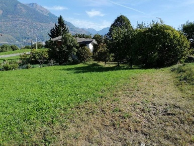 Foto Terreno edificabile in Frazione Grand Brissogne, Brissogne di 650 m²