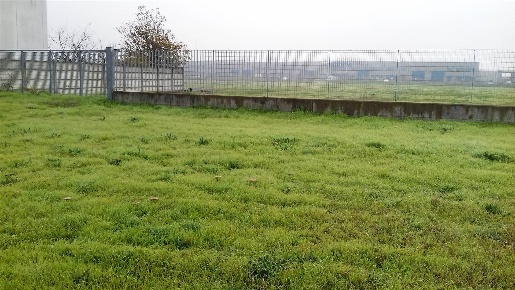 Foto Terreno industriale a Trecate Centro di 20000 m² in vendita
