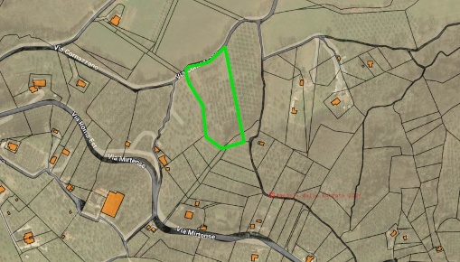 Foto Terreno agricolo in cornazzano, Poggio Nativo di 10150 m² in vendita