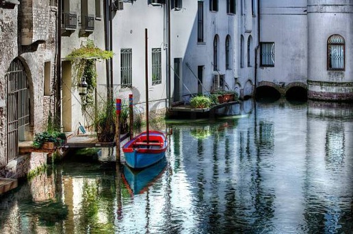 immagine annuncio 4 di 8