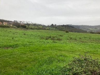 Foto Terreno agricolo a Calenzano di 52000 m² in vendita