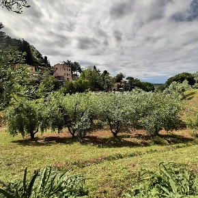 Foto Terreno edificabile a Casale Marittimo di 100 m² in vendita