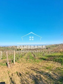 Foto Terreno agricolo a Coriano di 25192 m² in vendita