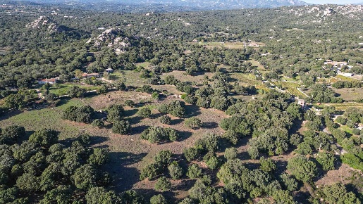 Foto Terreno agricolo in Via Manzoni, Telti in vendita
