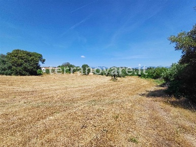 Foto Terreno edificabile in Strada Provinciale 87, Loiri Porto San Paolo