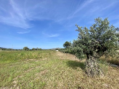 Foto Terreno agricolo in Via Gala Antonio, Olbia in vendita