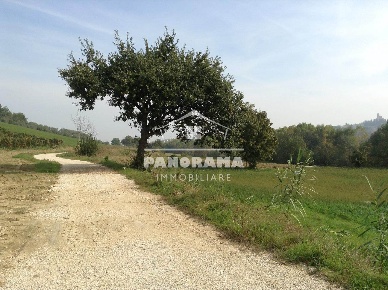 Foto Terreno edificabile a Coriano di 1600 m² in vendita