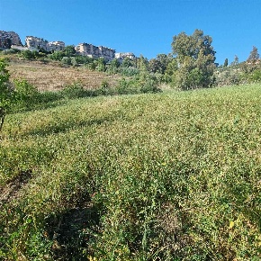 Foto Terreno agricolo in babbaurra, San Cataldo Centro di 3100 m²