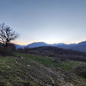 Foto Terreno agricolo in L.TA' CORVINI, Montella di 16000 m² in vendita