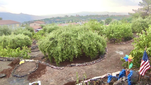 Foto Terreno agricolo a Adrano in vendita