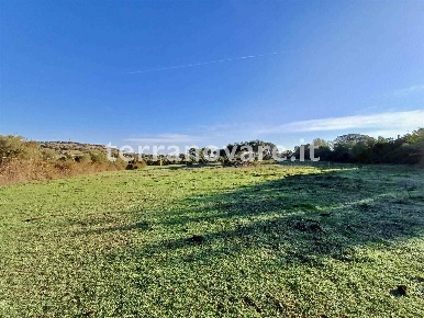Foto Terreno agricolo in SP66, Loiri Porto San Paolo in vendita
