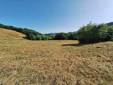 Foto Terreno agricolo a San Severino Marche in vendita
