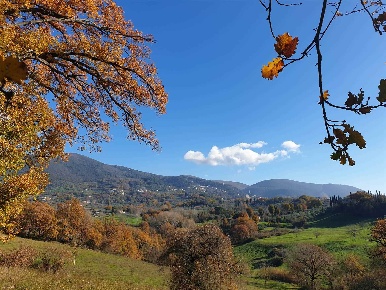 Foto Terreno agricolo in via preda, Poggio Catino di 4065 m² in vendita