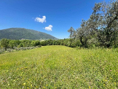 Foto Terreno agricolo a Montasola di 23475 m² in vendita
