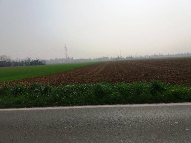 Foto Terreno agricolo a Mezzago Centro di 2960 m² in vendita