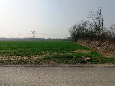Foto Terreno agricolo a Mezzago Centro di 4160 m² in vendita