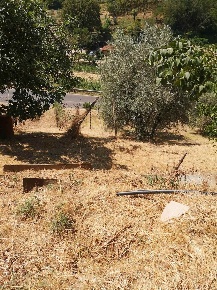Foto Terreno agricolo a Terranuova Bracciolini di 5000 m² in vendita