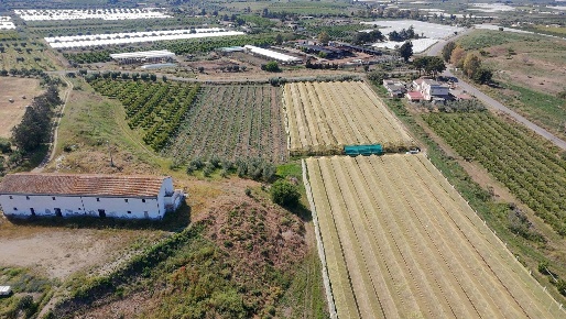 Foto Terreno agricolo a Policoro di 35070 m² in vendita