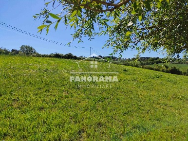 Foto Terreno agricolo a Coriano di 2194 m² in vendita