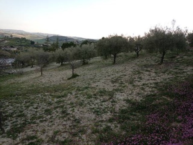 Foto Terreno agricolo in C.DA SANTA ROSALIA, San Cataldo di 8400 m²