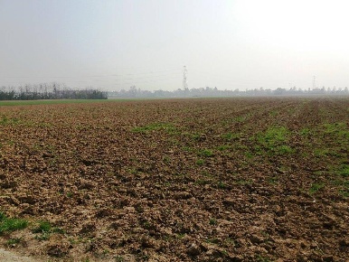 Foto Terreno agricolo a Mezzago Centro di 8400 m² in vendita