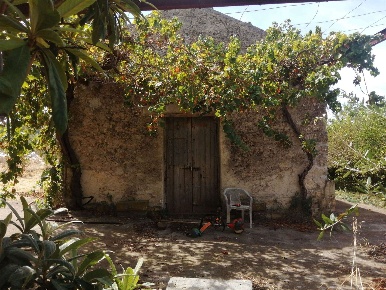 Foto Terreno agricolo in C.DA CILLEPI SNC, Carlentini di 25690 m²