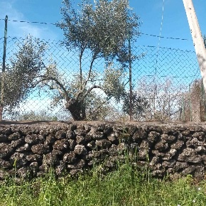 Foto Terreno agricolo in CONTRADA SEGRETA, Belpasso Segreta di 4020 m²