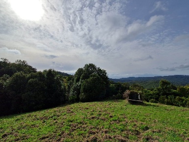 Foto Terreno agricolo a Rosignano Marittimo di 25000 m² in vendita