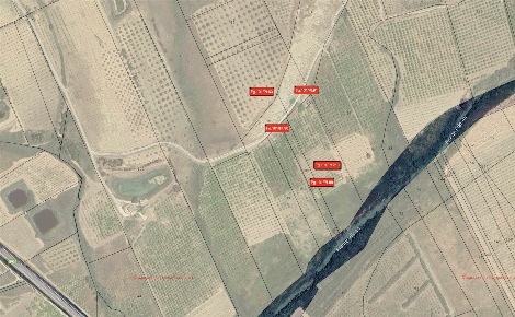 Foto Terreno agricolo in Cuci cuci, Ribera di 34902 m² in vendita