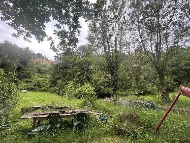 Foto Terreno agricolo a Reggello di 11500 m² in vendita