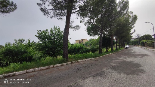 Foto Terreno edificabile a Scerni Centro di 2370 m² in vendita