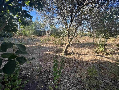 Foto Terreno edificabile in Via trinita, La Maddalena in vendita