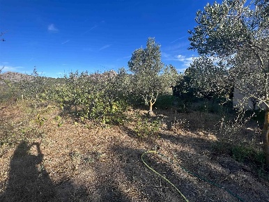 Foto Terreno edificabile in Via trinita, La Maddalena di 400 m² in vendita